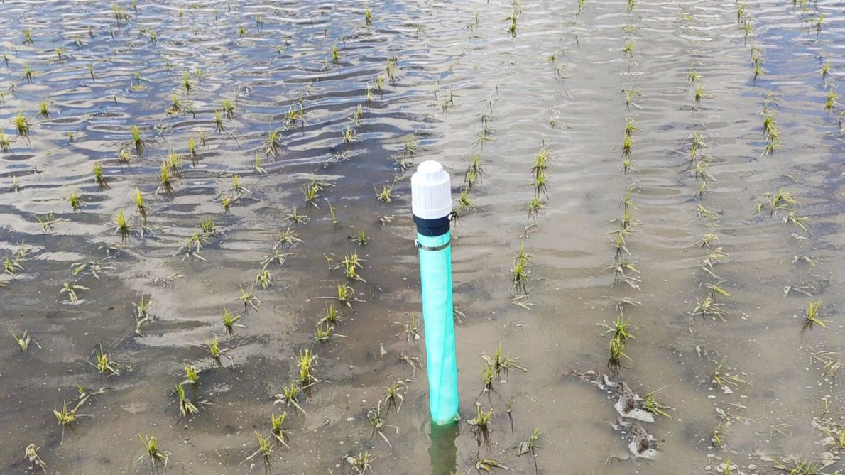 измеритель уровня воды на рисовом поле измеритель уровня воды на рисовом поле