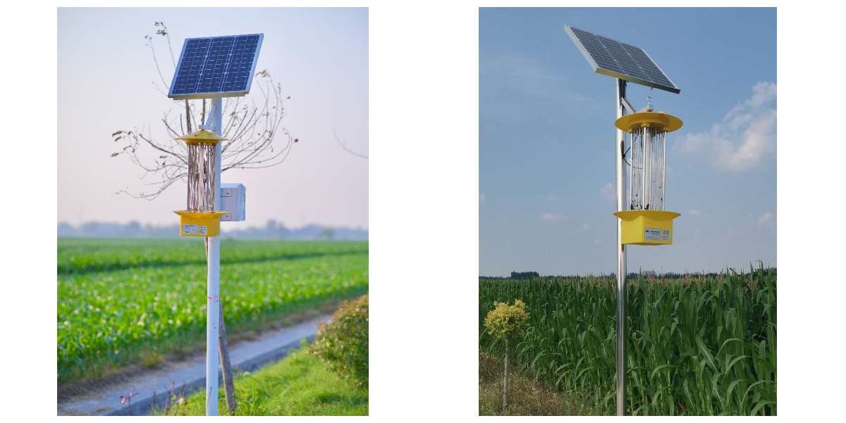 Vibration Frequency Insecticidal Lamp Vibration Frequency Insecticidal Lamp