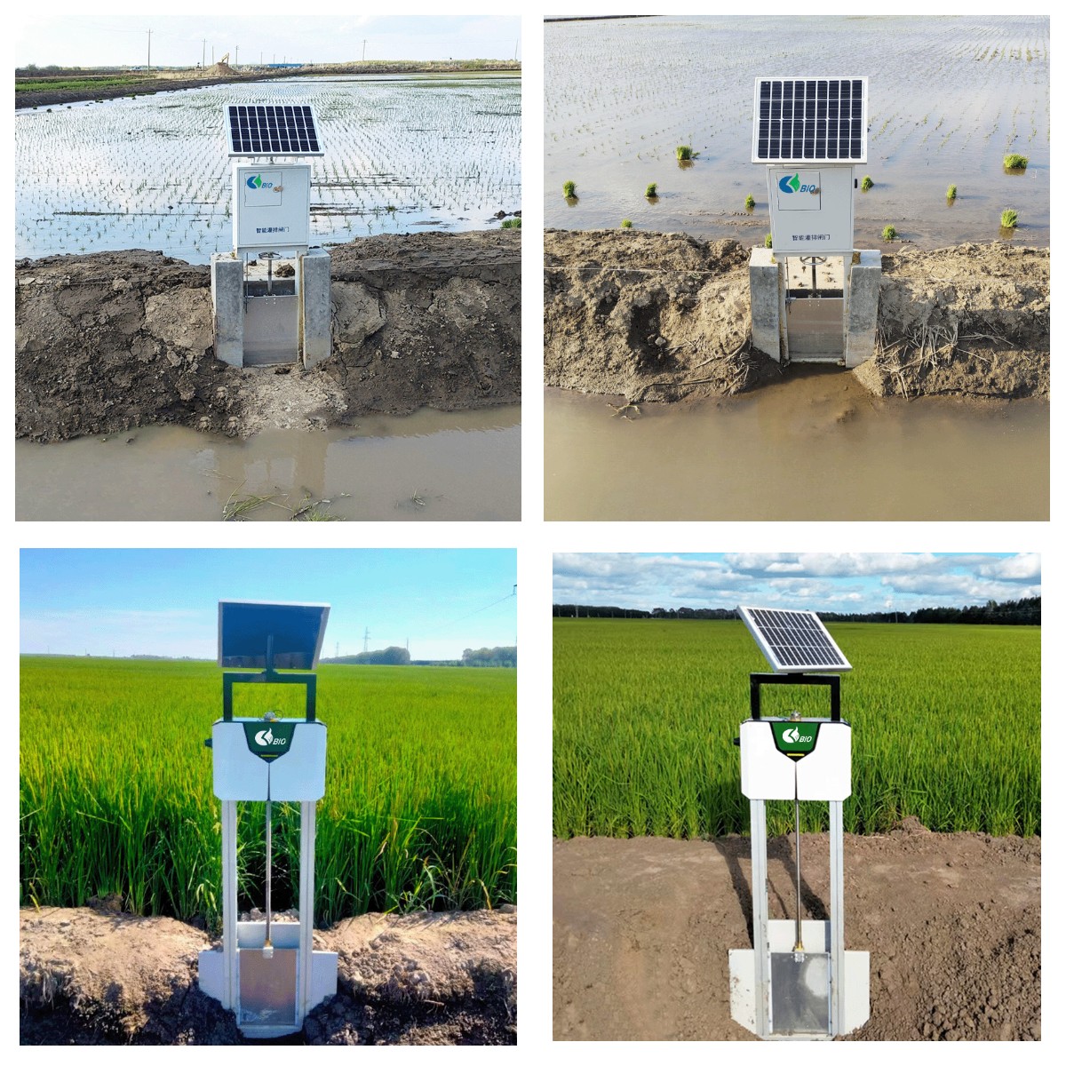 Paddy Fields Irrigation Sluice Gates Paddy Fields Irrigation Sluice Gates