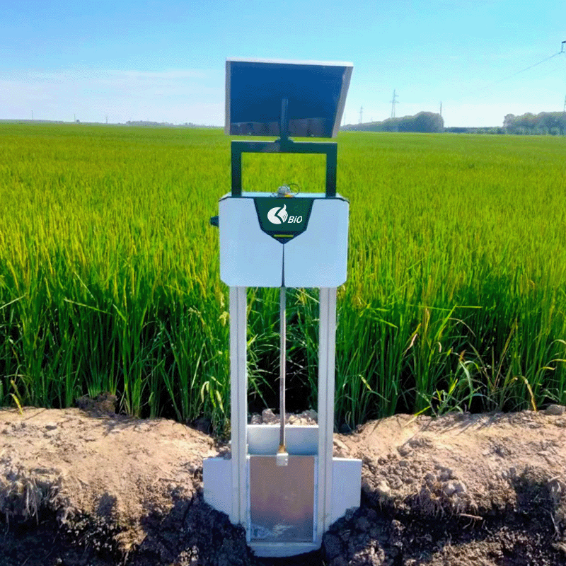 Paddy Fields Irrigation Sluice Gates