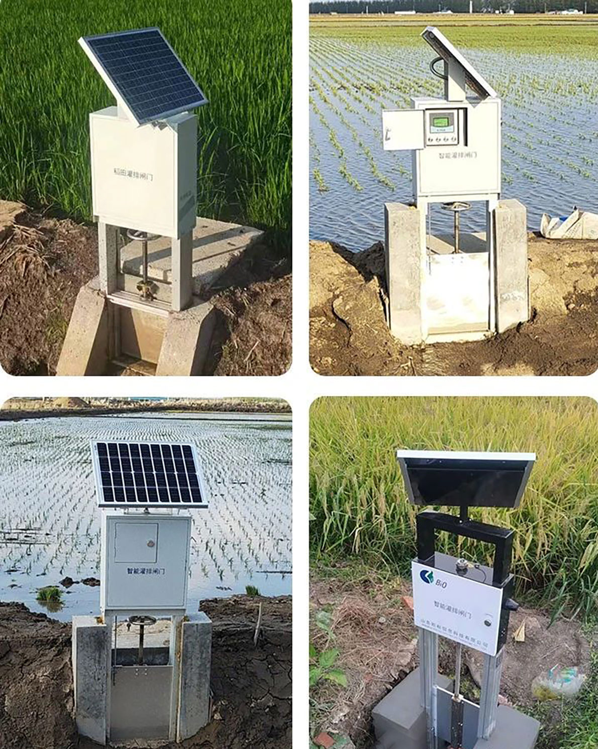 Solarbetriebene Reisbewässerungs- und Entwässerungstore Solarbetriebene Reisbewässerungs- und Entwässerungstore