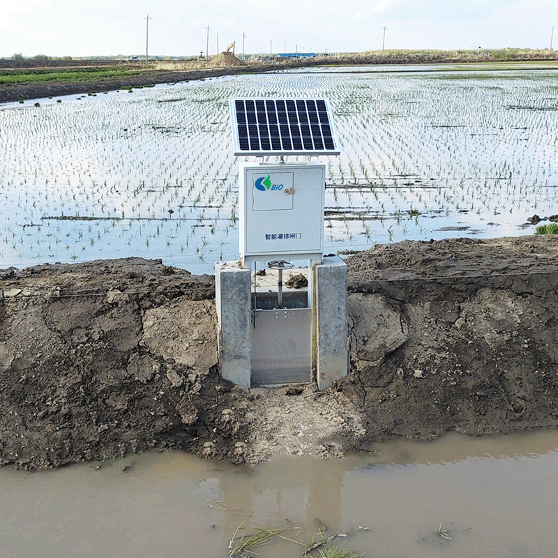 Paddy Fields Irrigation Sluice Gates