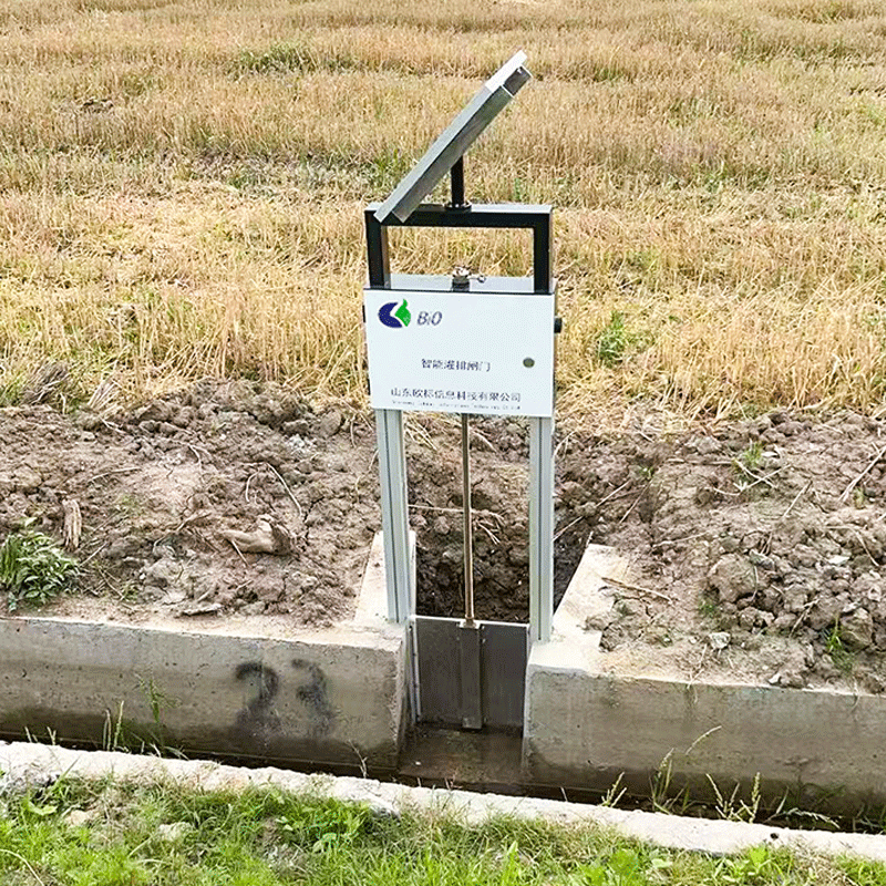 Paddy Fields Irrigation Sluice Gates