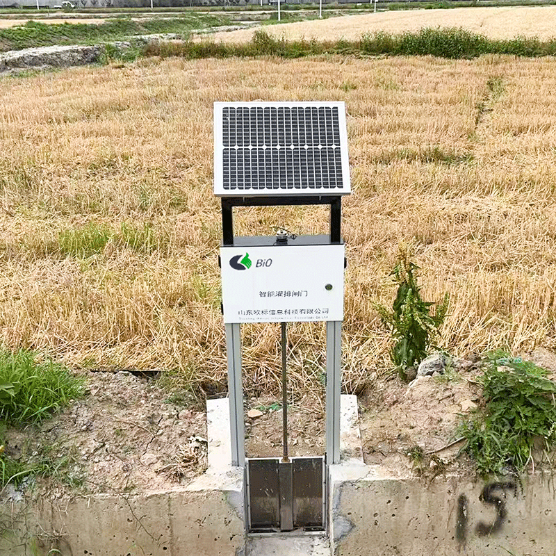 Paddy Fields Irrigation Sluice Gates