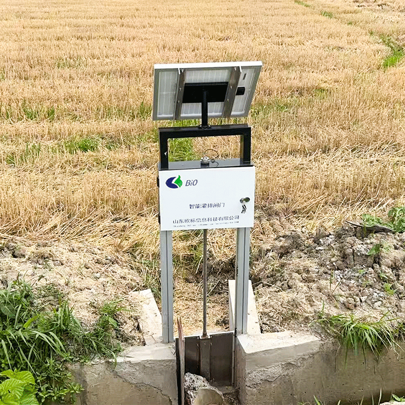 Paddy Fields Irrigation Sluice Gates
